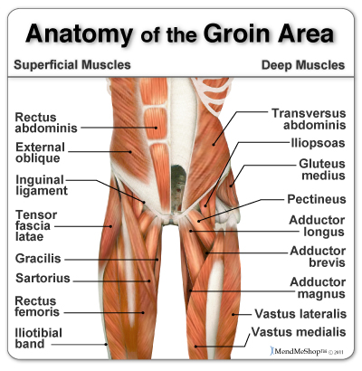 Gilmore's Groin